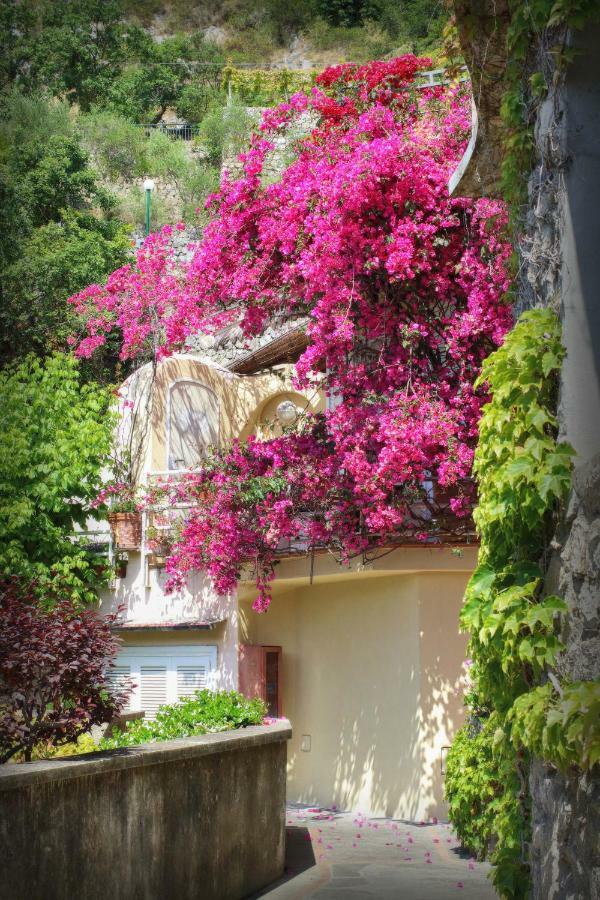 Venus Apartment Positano Zewnętrze zdjęcie