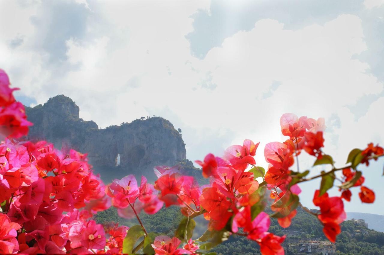 Venus Apartment Positano Zewnętrze zdjęcie